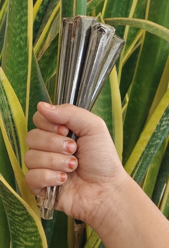 Mehndi Cone Pack Of 12 Natural Henna Designs Organic Handmade | Tanu Creation